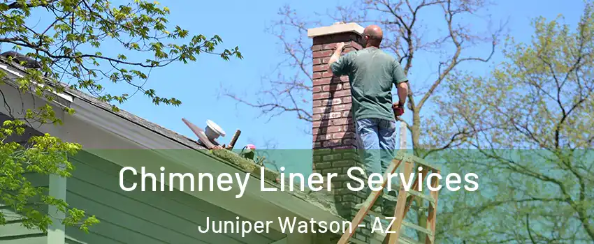 Chimney Liner Services Juniper Watson - AZ