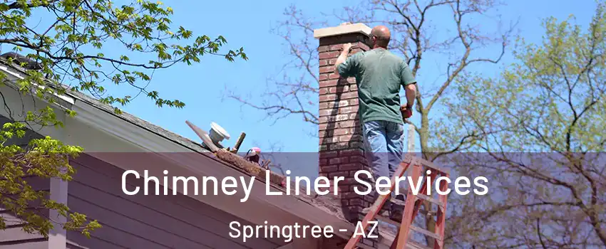 Chimney Liner Services Springtree - AZ