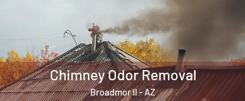 Chimney Odor Removal Broadmor II - AZ