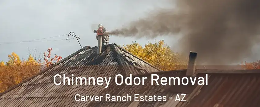 Chimney Odor Removal Carver Ranch Estates - AZ