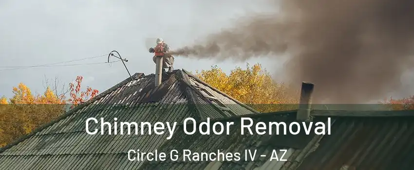 Chimney Odor Removal Circle G Ranches IV - AZ