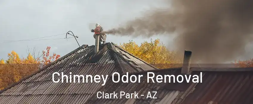 Chimney Odor Removal Clark Park - AZ