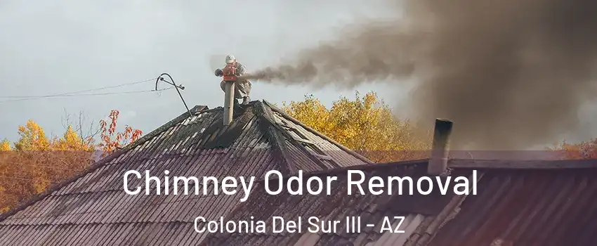 Chimney Odor Removal Colonia Del Sur III - AZ