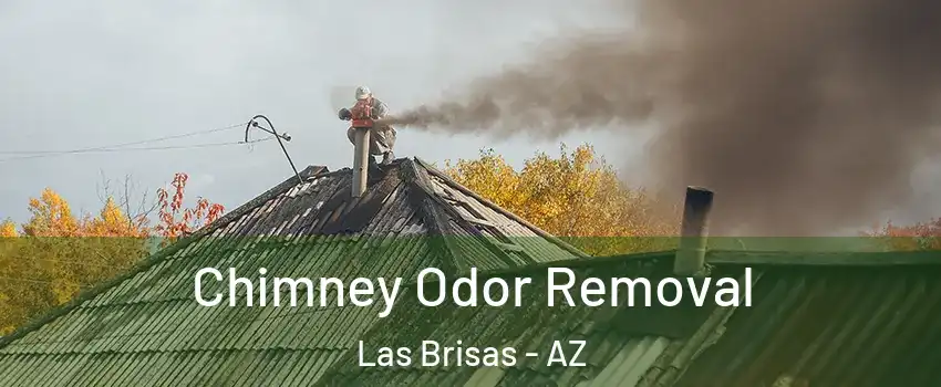 Chimney Odor Removal Las Brisas - AZ