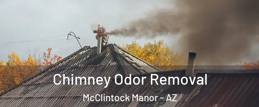 Chimney Odor Removal McClintock Manor - AZ