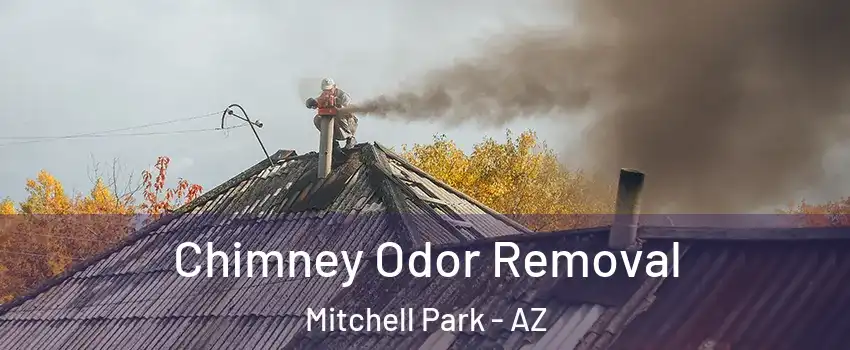 Chimney Odor Removal Mitchell Park - AZ