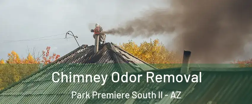 Chimney Odor Removal Park Premiere South II - AZ