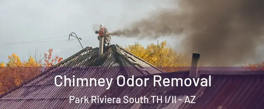 Chimney Odor Removal Park Riviera South TH I/II - AZ