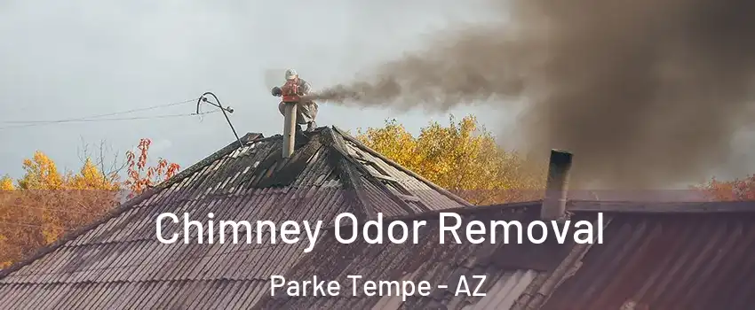 Chimney Odor Removal Parke Tempe - AZ