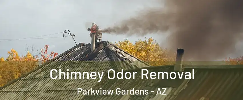 Chimney Odor Removal Parkview Gardens - AZ