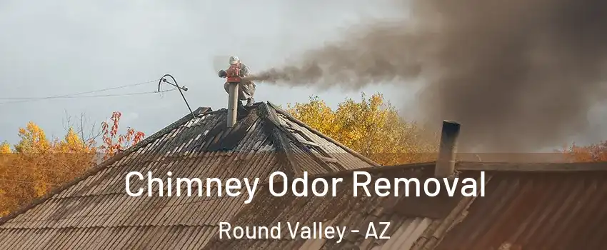 Chimney Odor Removal Round Valley - AZ