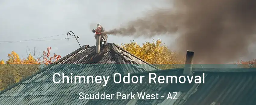 Chimney Odor Removal Scudder Park West - AZ