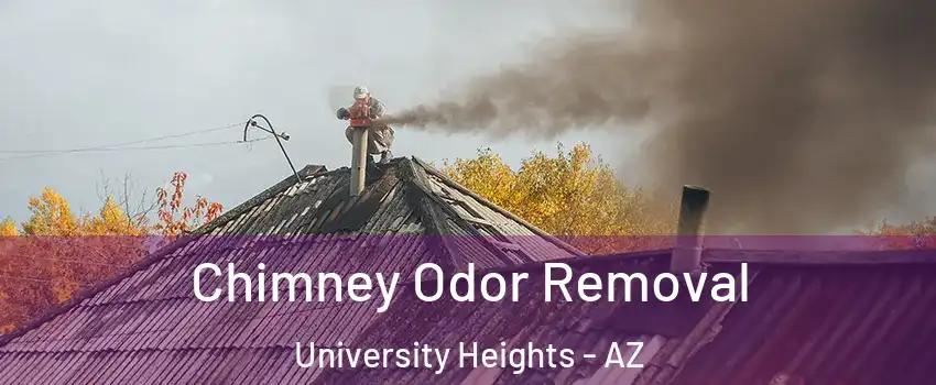 Chimney Odor Removal University Heights - AZ