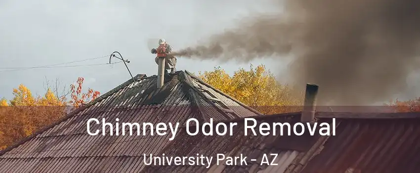 Chimney Odor Removal University Park - AZ