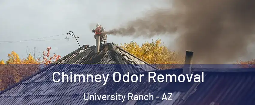 Chimney Odor Removal University Ranch - AZ