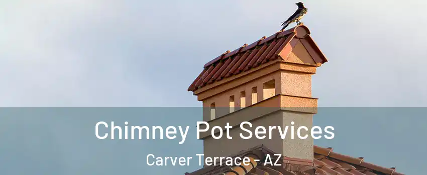 Chimney Pot Services Carver Terrace - AZ