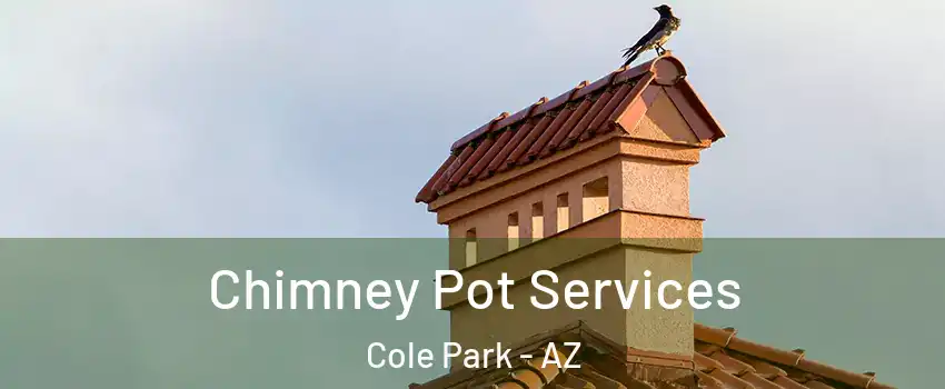 Chimney Pot Services Cole Park - AZ