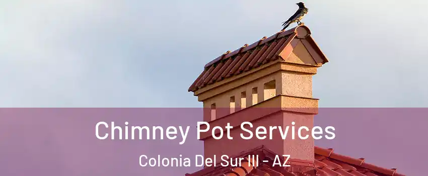 Chimney Pot Services Colonia Del Sur III - AZ