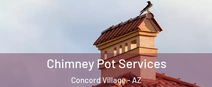 Chimney Pot Services Concord Village - AZ