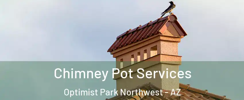 Chimney Pot Services Optimist Park Northwest - AZ