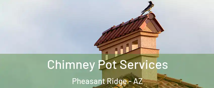 Chimney Pot Services Pheasant Ridge - AZ