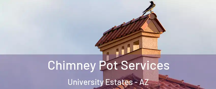 Chimney Pot Services University Estates - AZ