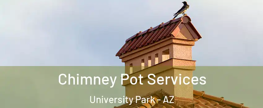 Chimney Pot Services University Park - AZ