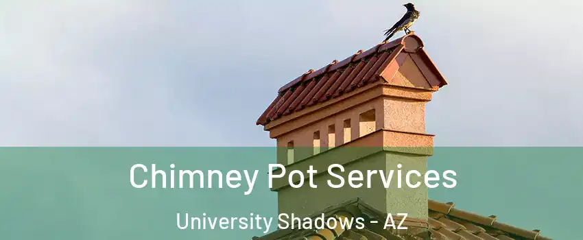 Chimney Pot Services University Shadows - AZ