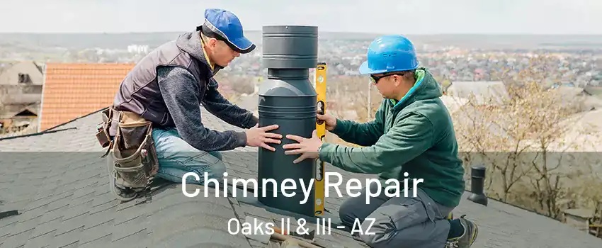 Chimney Repair Oaks II & III - AZ