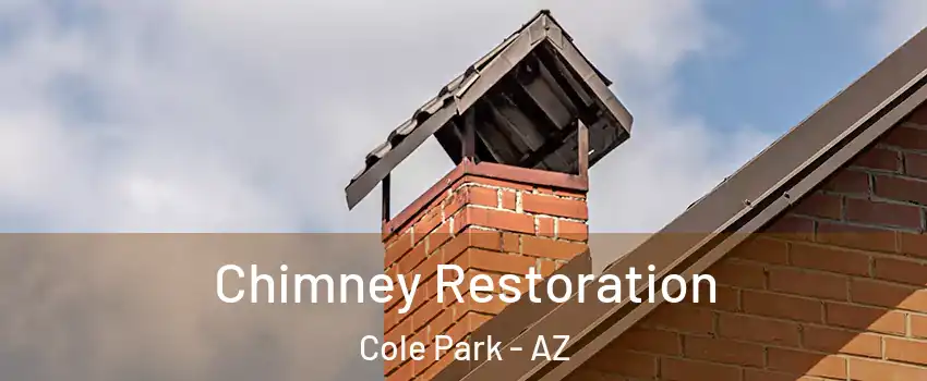 Chimney Restoration Cole Park - AZ