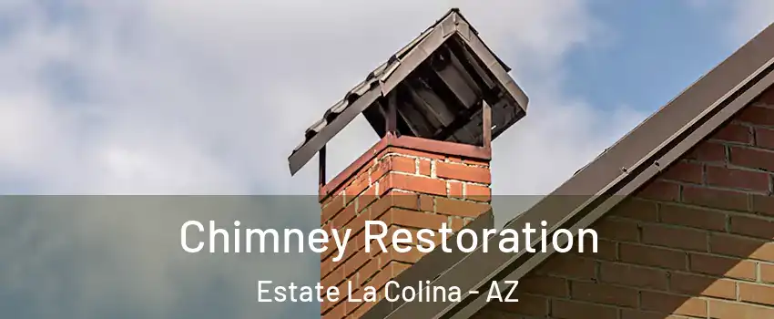 Chimney Restoration Estate La Colina - AZ