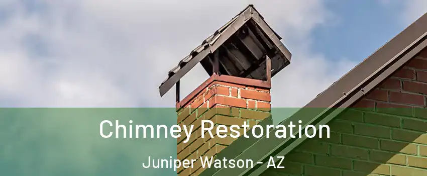 Chimney Restoration Juniper Watson - AZ