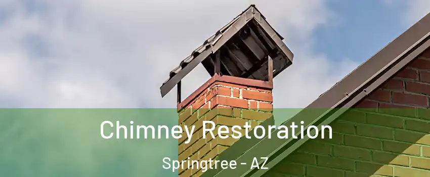 Chimney Restoration Springtree - AZ