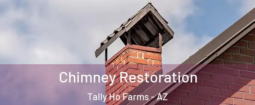 Chimney Restoration Tally Ho Farms - AZ