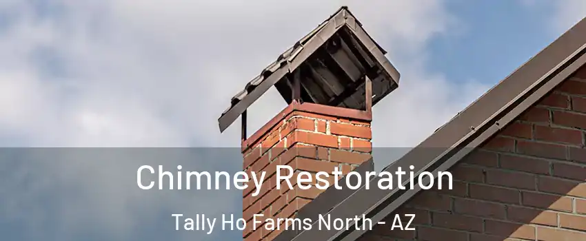 Chimney Restoration Tally Ho Farms North - AZ