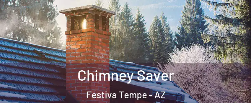 Chimney Saver Festiva Tempe - AZ