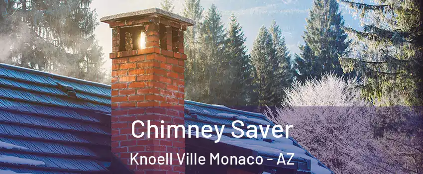 Chimney Saver Knoell Ville Monaco - AZ