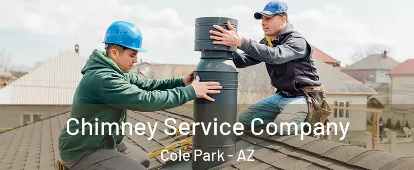 Chimney Service Company Cole Park - AZ