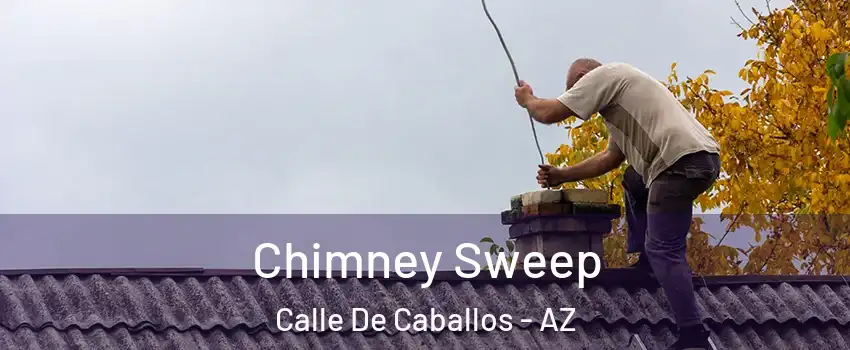 Chimney Sweep Calle De Caballos - AZ