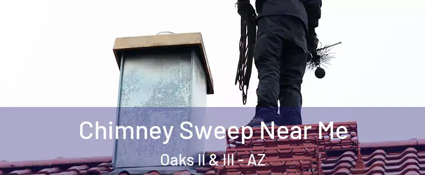 Chimney Sweep Near Me Oaks II & III - AZ