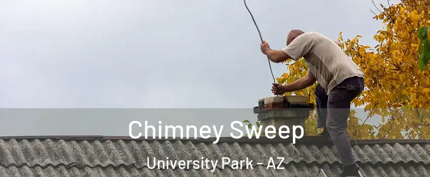 Chimney Sweep University Park - AZ