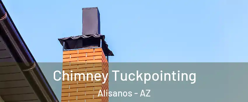 Chimney Tuckpointing Alisanos - AZ