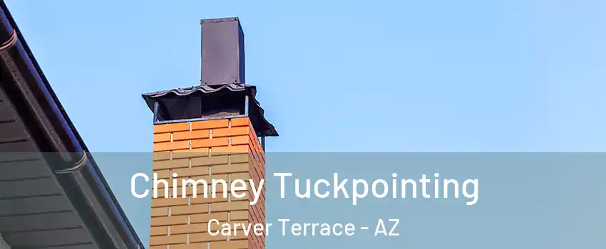 Chimney Tuckpointing Carver Terrace - AZ