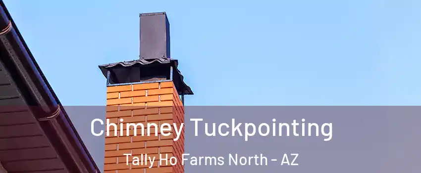 Chimney Tuckpointing Tally Ho Farms North - AZ