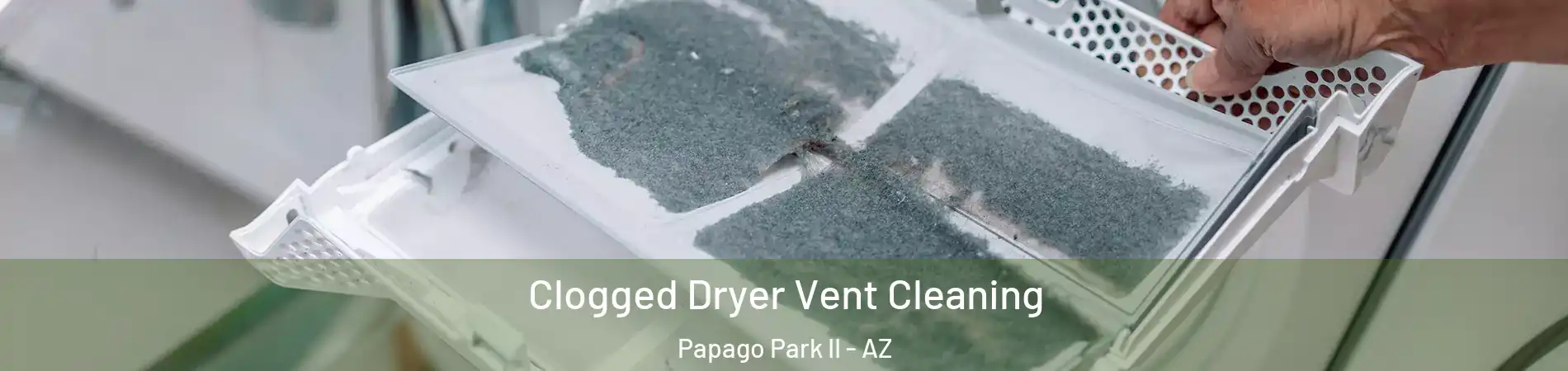 Clogged Dryer Vent Cleaning Papago Park II - AZ