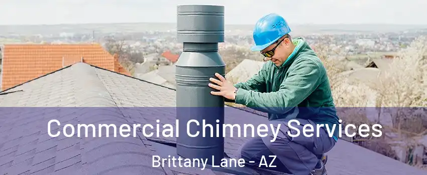 Commercial Chimney Services Brittany Lane - AZ