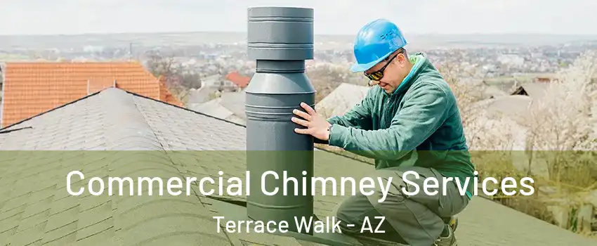 Commercial Chimney Services Terrace Walk - AZ