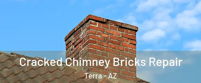 Cracked Chimney Bricks Repair Terra - AZ