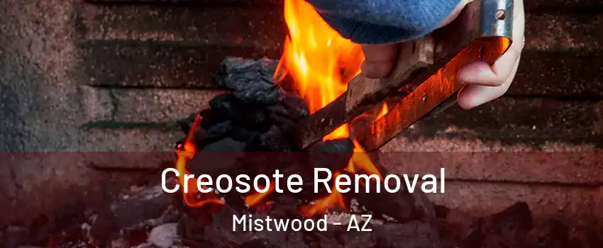 Creosote Removal Mistwood - AZ