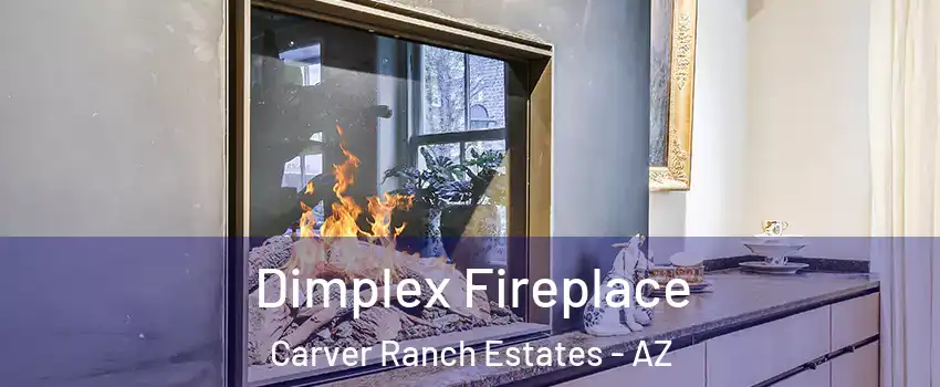 Dimplex Fireplace Carver Ranch Estates - AZ